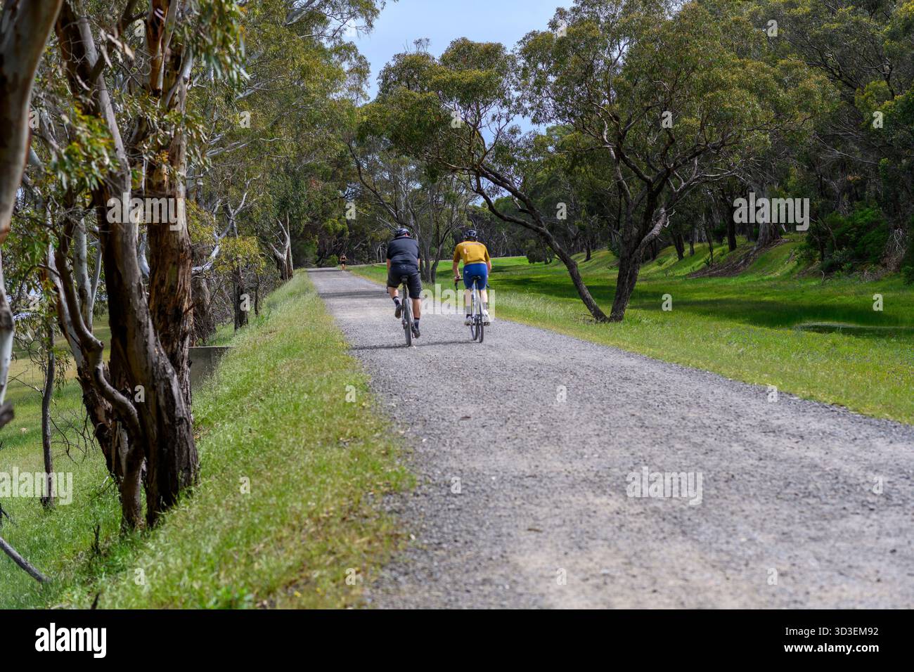 Allenamento ciclistico nel parco cittadino, allenamento cardio all'aperto e attività di fitness endurance Foto Stock