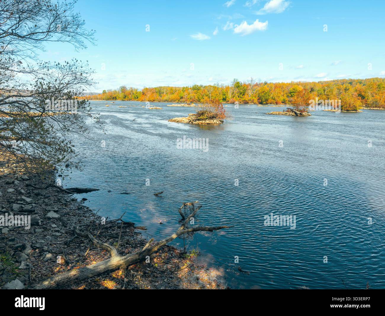 Il fiume Susquehanna nel Susquehanna State Park. Havre de Grace. Maryland. STATI UNITI Foto Stock