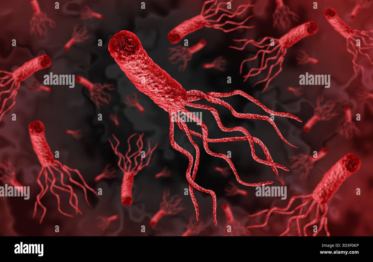 Batteri Helicobacter pylori sotto microscopio che mostrano infezione dello stomaco e concetto di ricerca microbiologia per la salute e le malattie digestive. Foto Stock