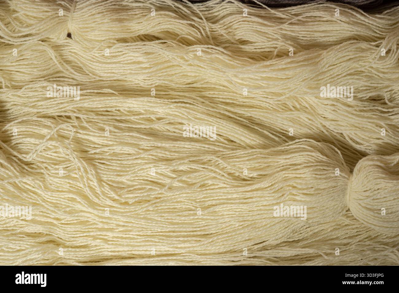 Fasci di filati di lana naturale non tinti. Ripresa in studio Foto Stock