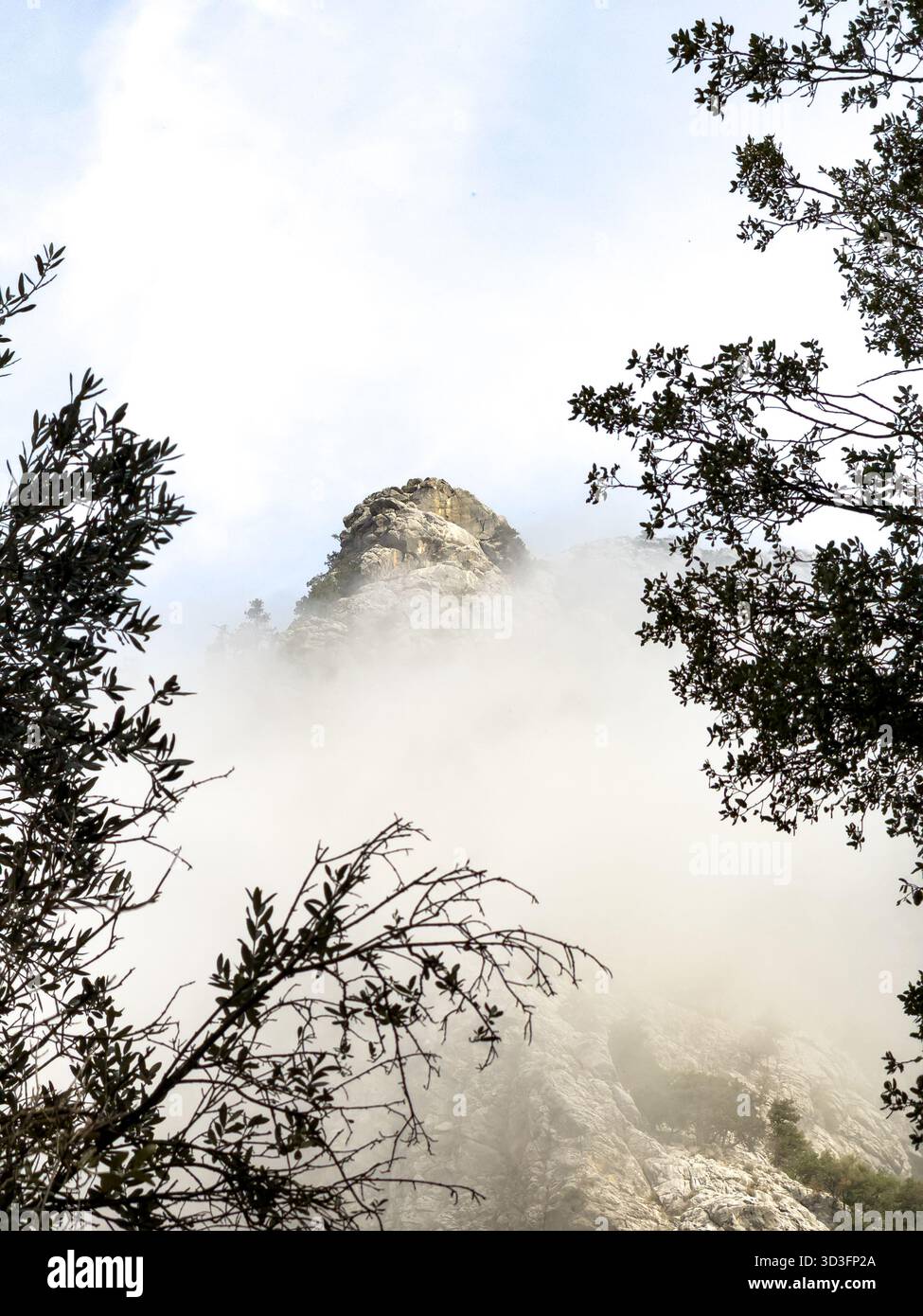 Picco di montagna incorniciato da alberi che emergono attraverso la bassa nebbia mattutina Foto Stock