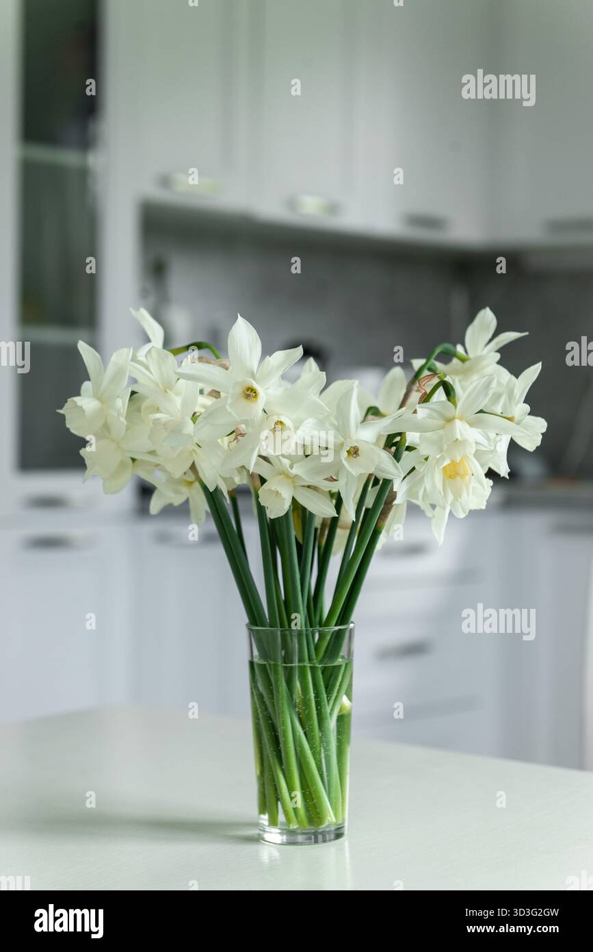 Un bouquet di narcisi bianchi freschi splendidamente disposti in un vaso di vetro, collocato su un piano di cucina. Un complemento perfetto per qualsiasi arredo domestico o da giardino Foto Stock