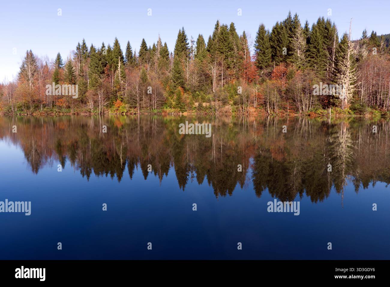 Autunno Lago riflessione con la vibrante Foresta Un tranquillo paesaggio autunnale caratterizzato da un lago calmo con riflessi cristallini Foto Stock