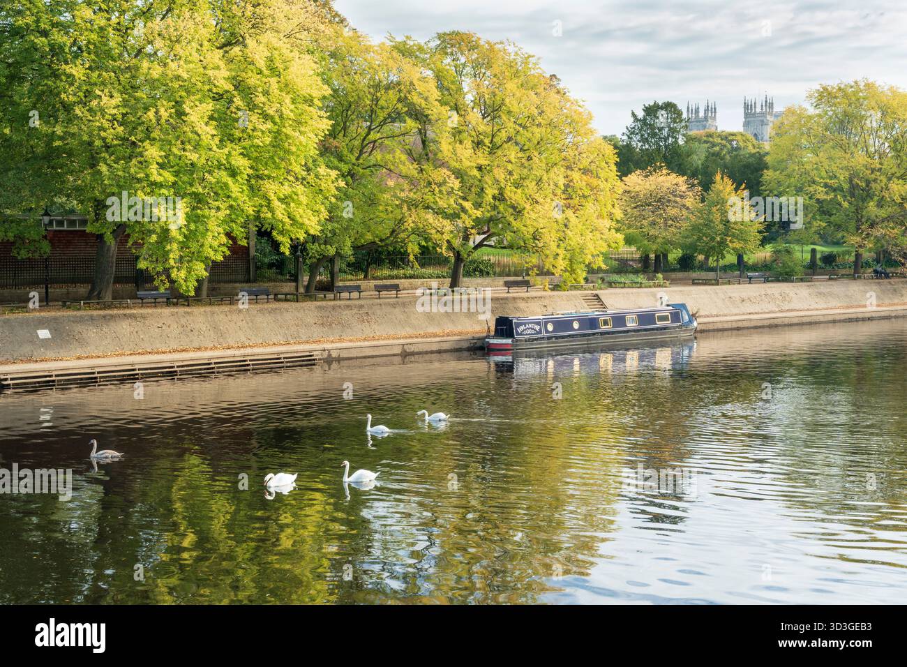 Fiume Ouse a York e Swans e una chiatta ormeggiata. Foto Stock