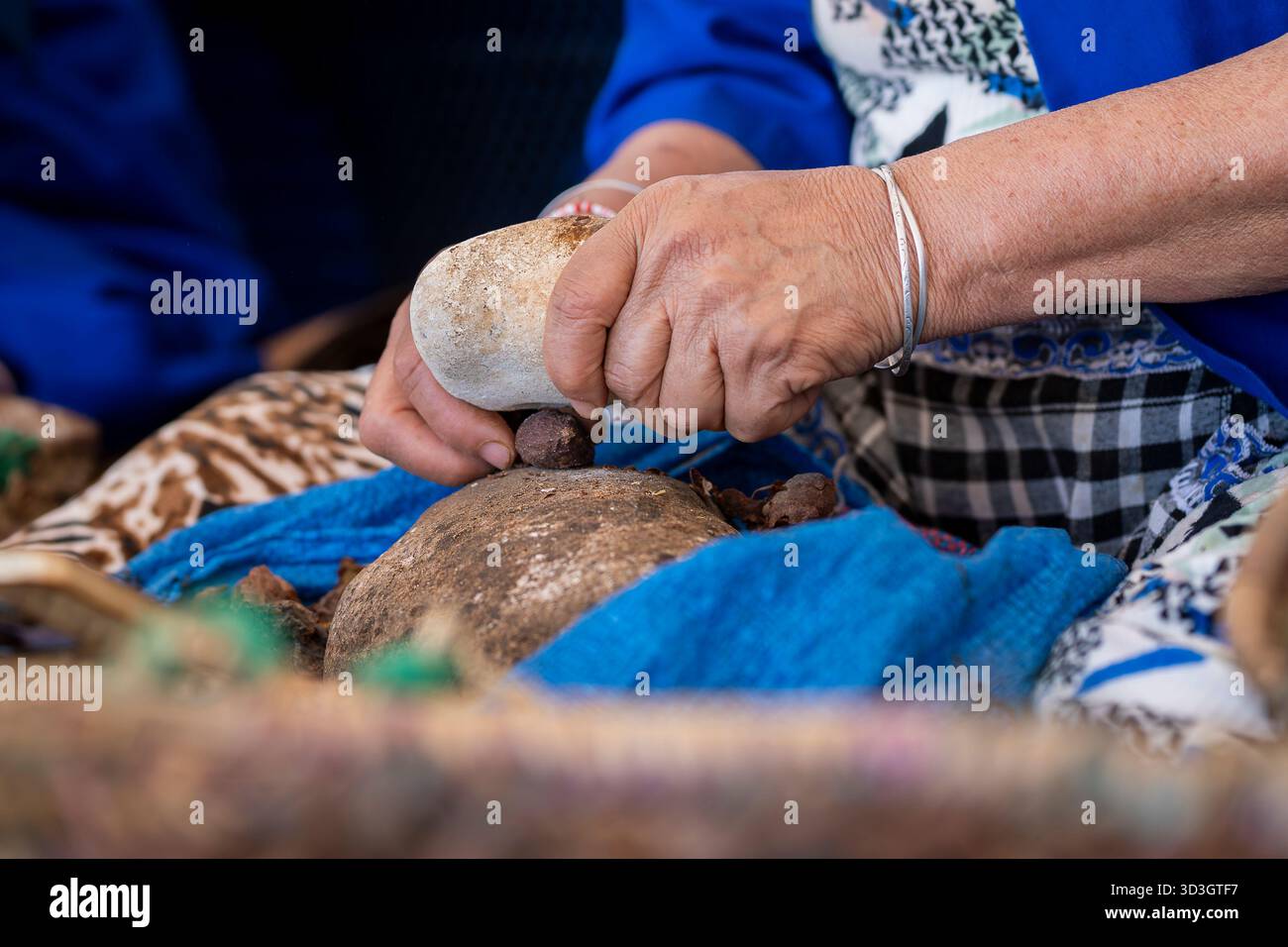 Primo piano delle mani di donna che rompono le noci di argan in un laboratorio tradizionale, il Marocco. Le mani delle donne arabe rompono i dadi degli alberi di argan per la produzione di olio di argan Foto Stock