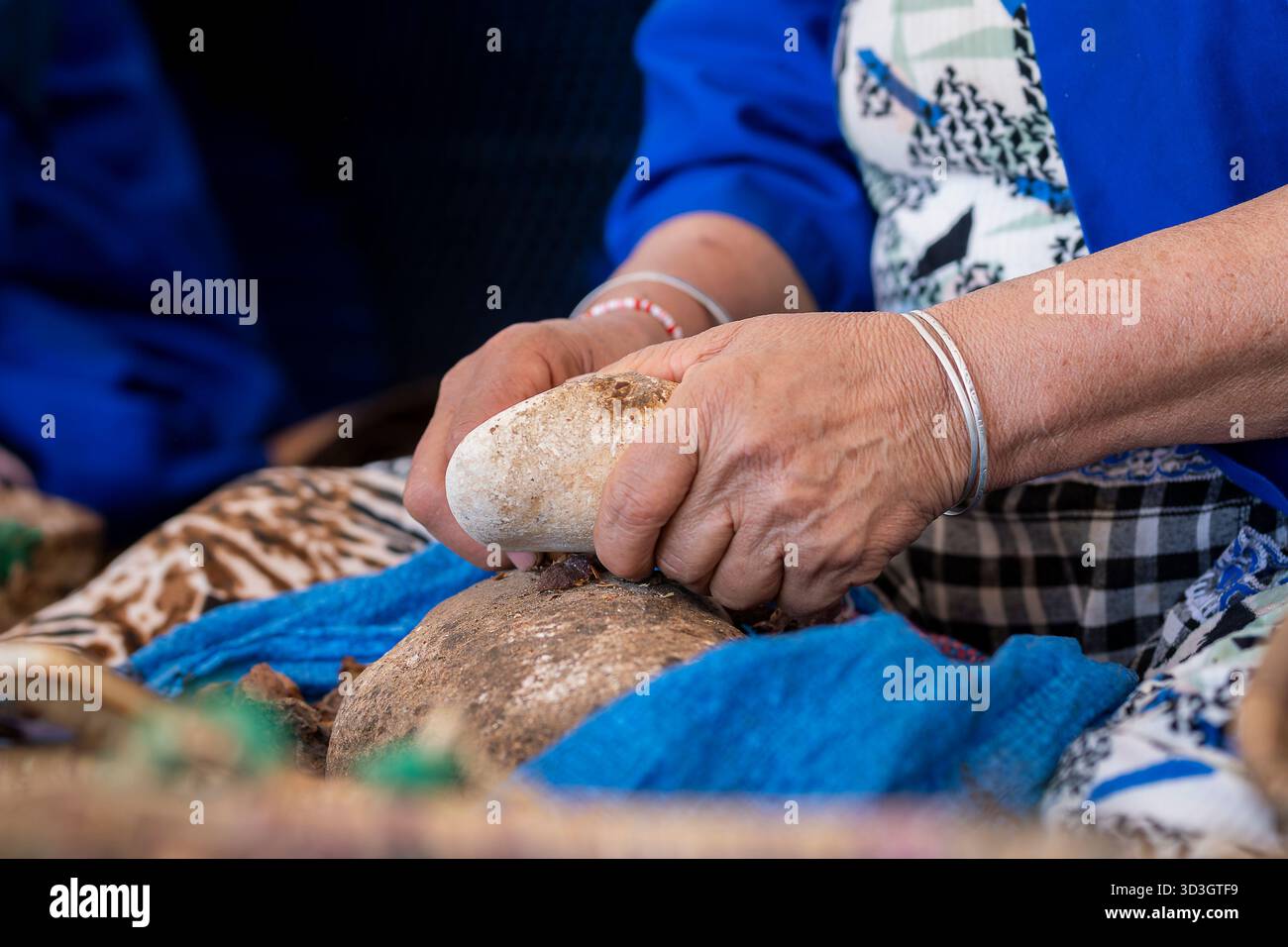 Primo piano delle mani di donna che rompono le noci di argan in un laboratorio tradizionale, il Marocco. Le mani delle donne arabe rompono i dadi degli alberi di argan per la produzione di olio di argan Foto Stock