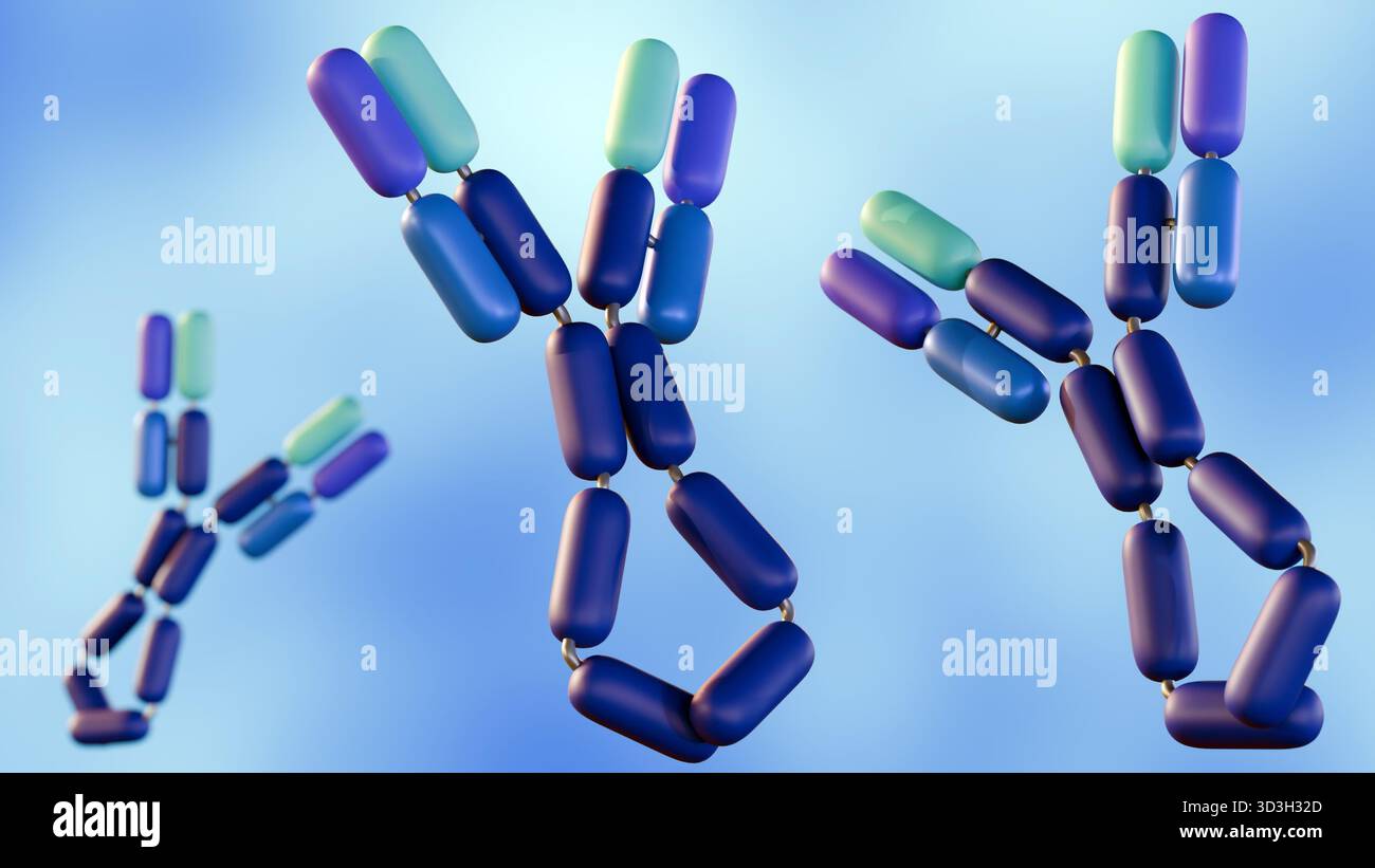 Una rappresentazione 3d dell'immunoglobulina e o IgE esiste come una singola molecola a forma di Y. Il ruolo è quello di mediare le reazioni allergiche. Foto Stock