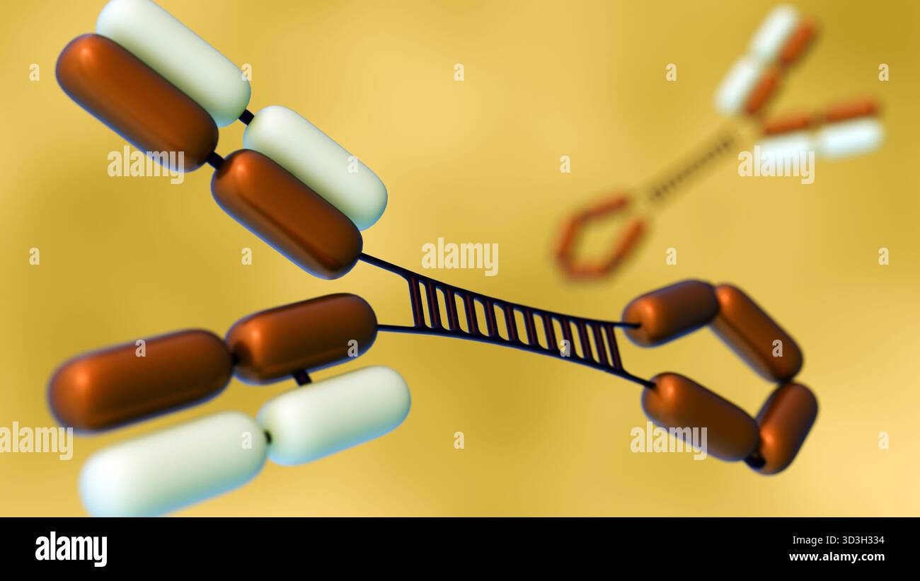 Rendering 3d di Immunoglobulina diffusa o molecole IgG3 sullo sfondo. Foto Stock