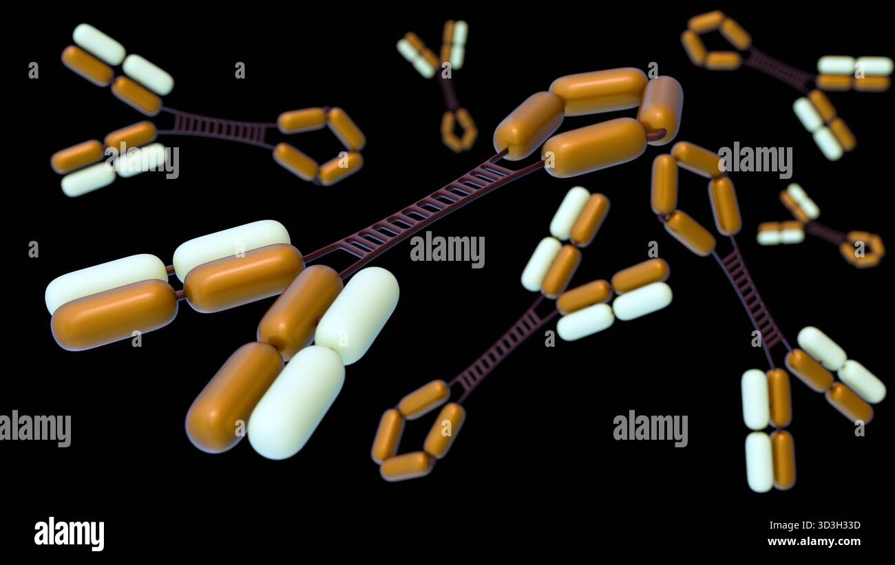 Rendering 3d di Immunoglobulina diffusa o molecole IgG3 sullo sfondo. Foto Stock