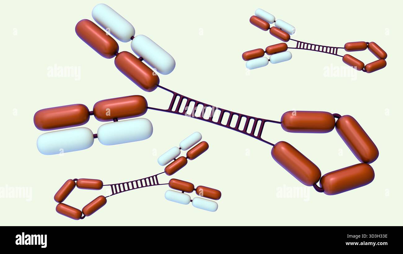 Rendering 3d di Immunoglobulina diffusa o molecole IgG3 sullo sfondo. Foto Stock