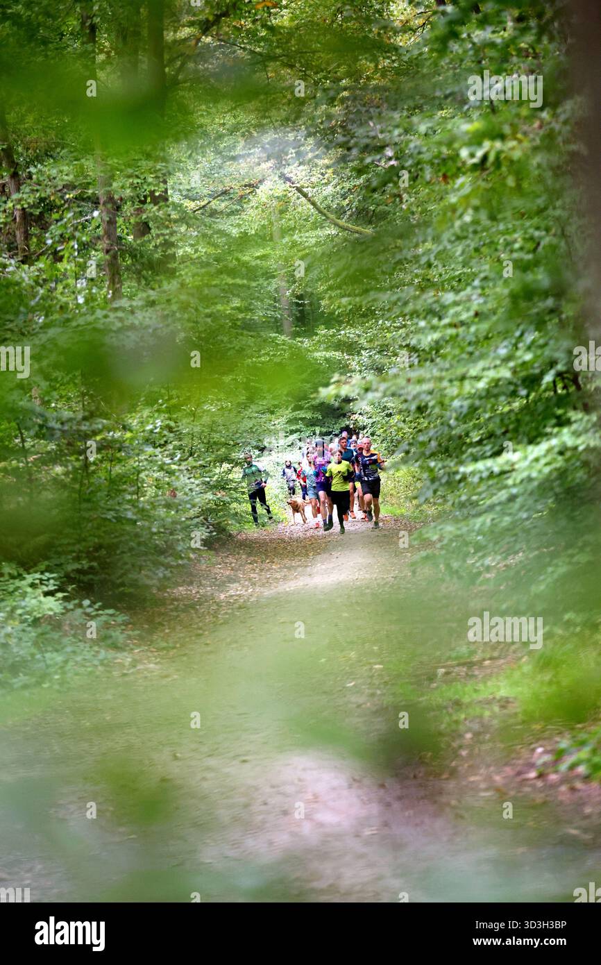 Gruppo di persone che corrono su un sentiero tortuoso attraverso una lussureggiante foresta verde Foto Stock