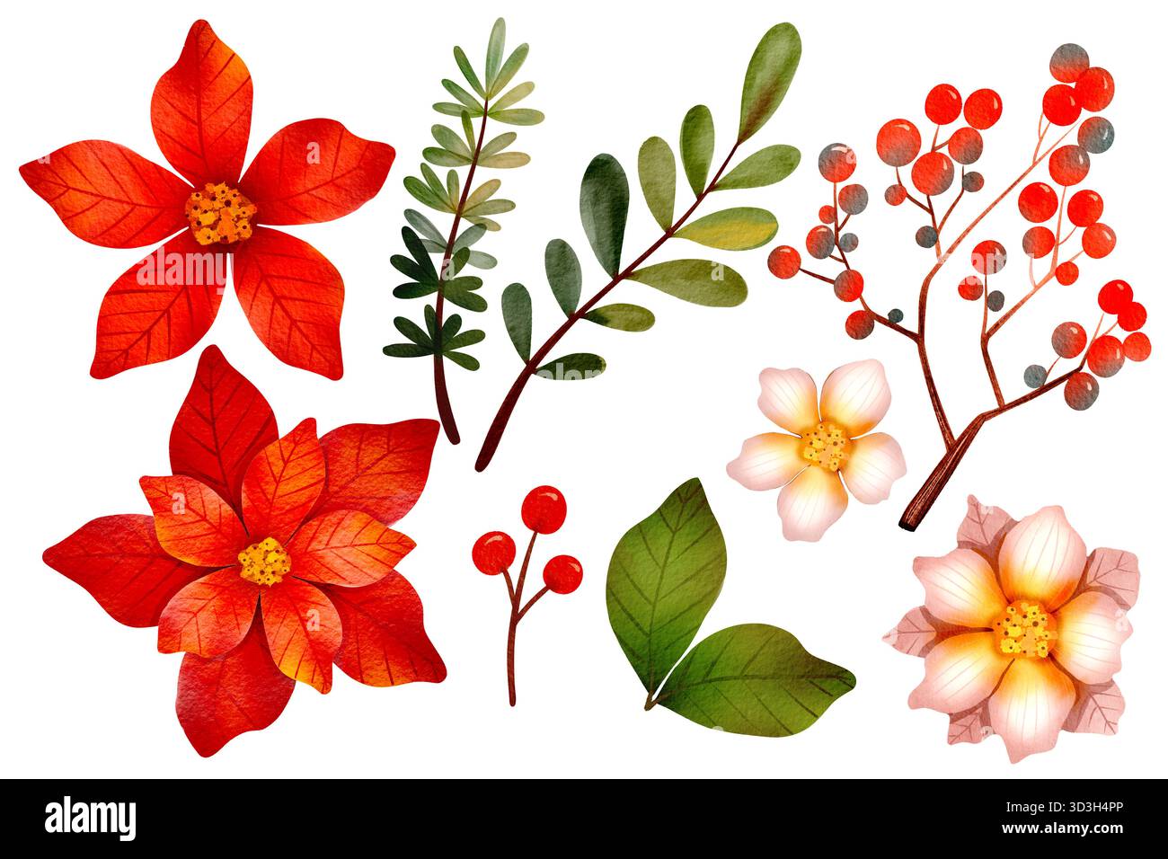 Set natalizio con acquerello. Piante botaniche, fiori, rami di abete, bacche e decorazioni natalizie. Per l'arredamento di Capodanno e di Natale. Foto Stock