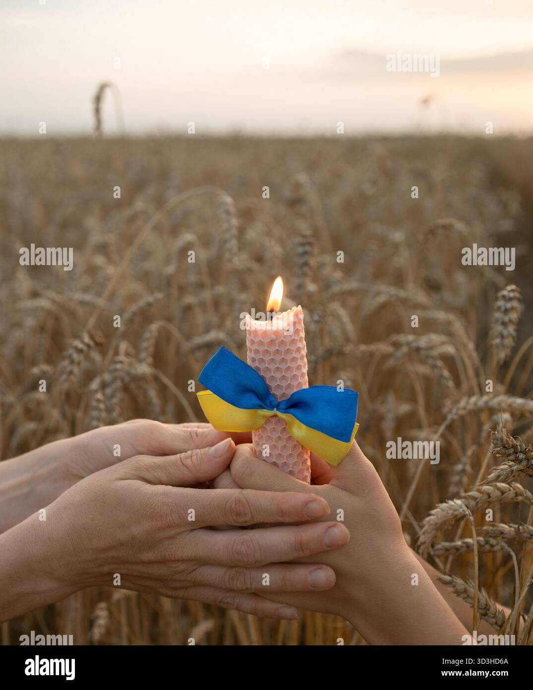 candela in fiamme tenuta da un adulto e un bambino in un campo di grano al tramonto. Le orecchie di grano e la fiamma commemorano coloro che sono morti durante il tragico Holo Foto Stock