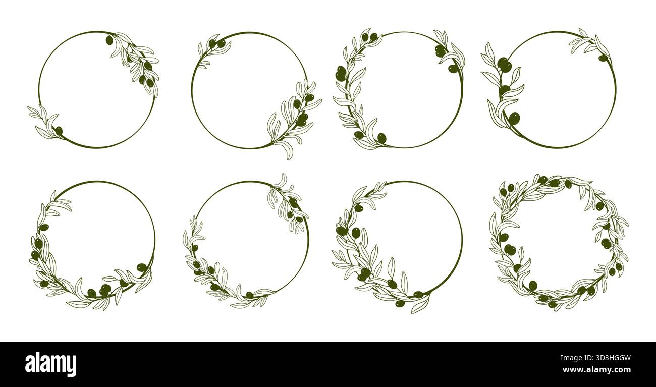 Set di illustrazioni vettoriali per rami di oliva e telai rotondi. Eleganti foglie botaniche disegnate a mano e olive donano un biglietto d'auguri, un poster e un biglietto d'auguri minimo. Diverse collezioni di Olive Branches Illustrazione Vettoriale