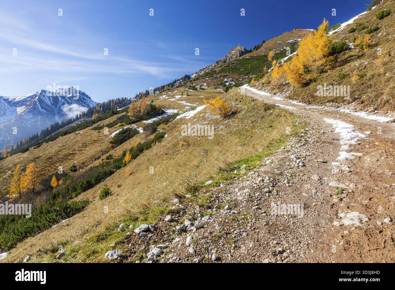 Atmosfera autunnale, larici con foglie, sentiero escursionistico per la Leobner Huette, alle spalle della catena montuosa Eisenerzer Reichenstein, Praebichl, Stiria, Foto Stock