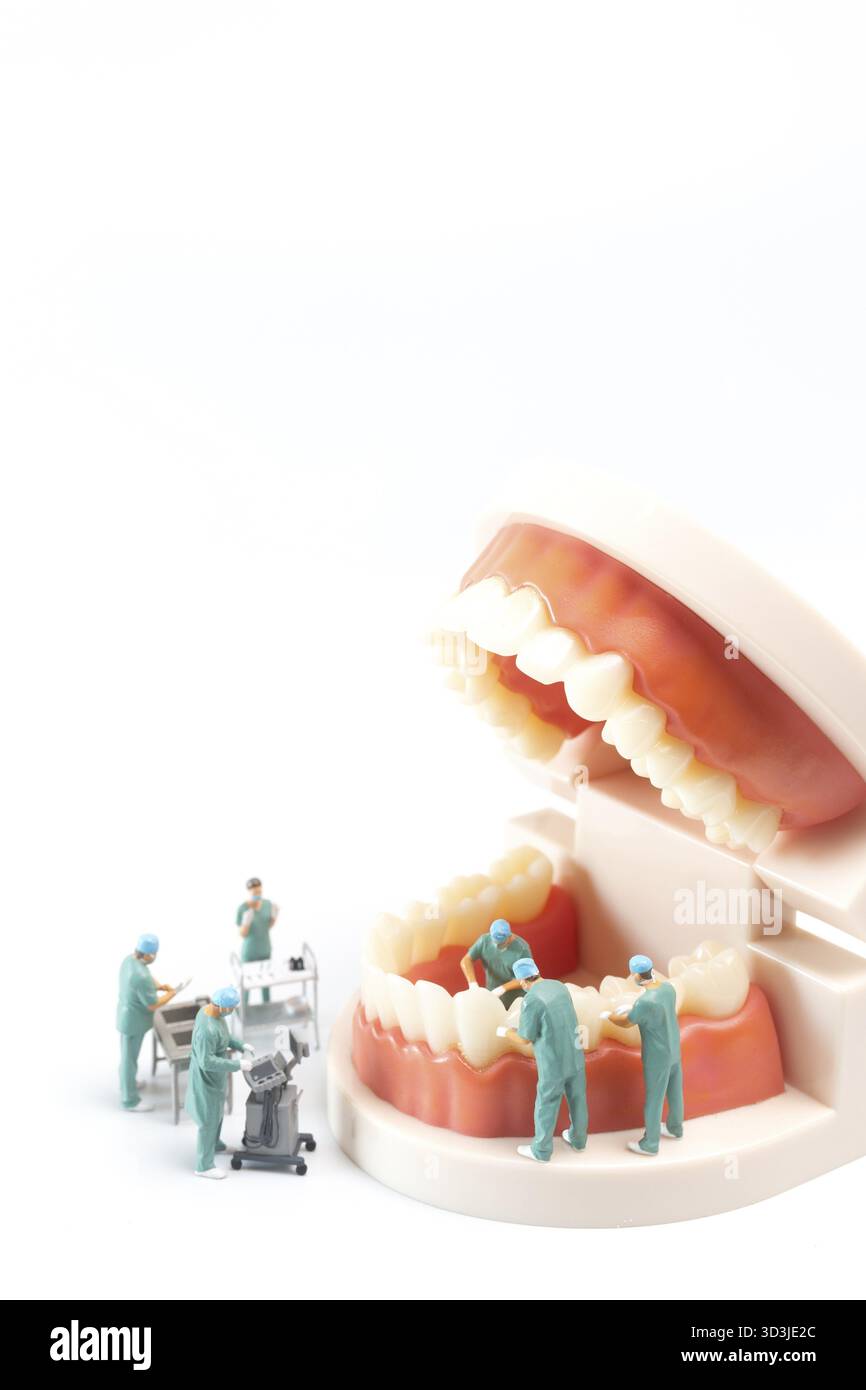 Persone in miniatura, dentista che ripara i denti umani con gengive e smalto, salute e concetto medico Foto Stock