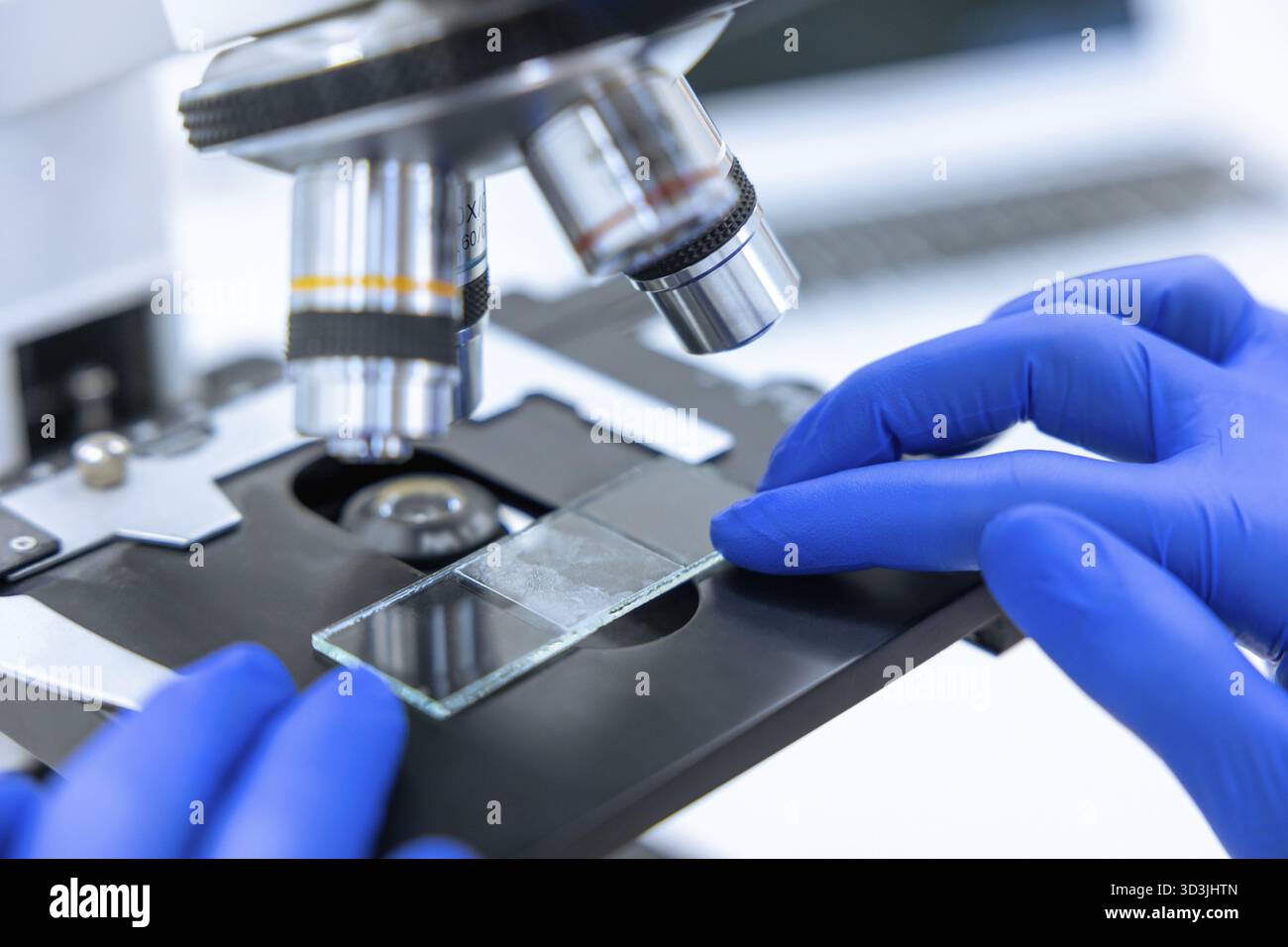 Ricercatori che fanno endoscopia microscopica per esaminare la degradazione delle cellule, esperimenti di laboratorio, scienziati che lavorano analisi con vetro di prova Foto Stock