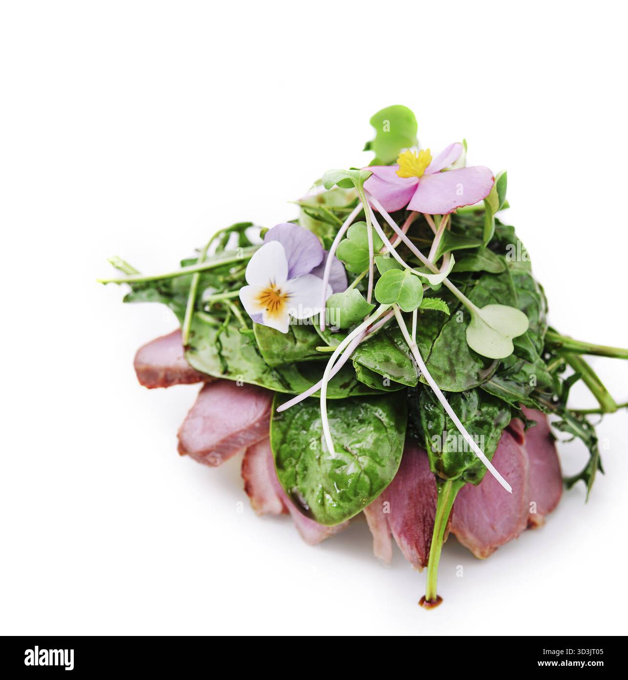 Cibo, carne di anatra alla griglia con insalata isolata Foto Stock