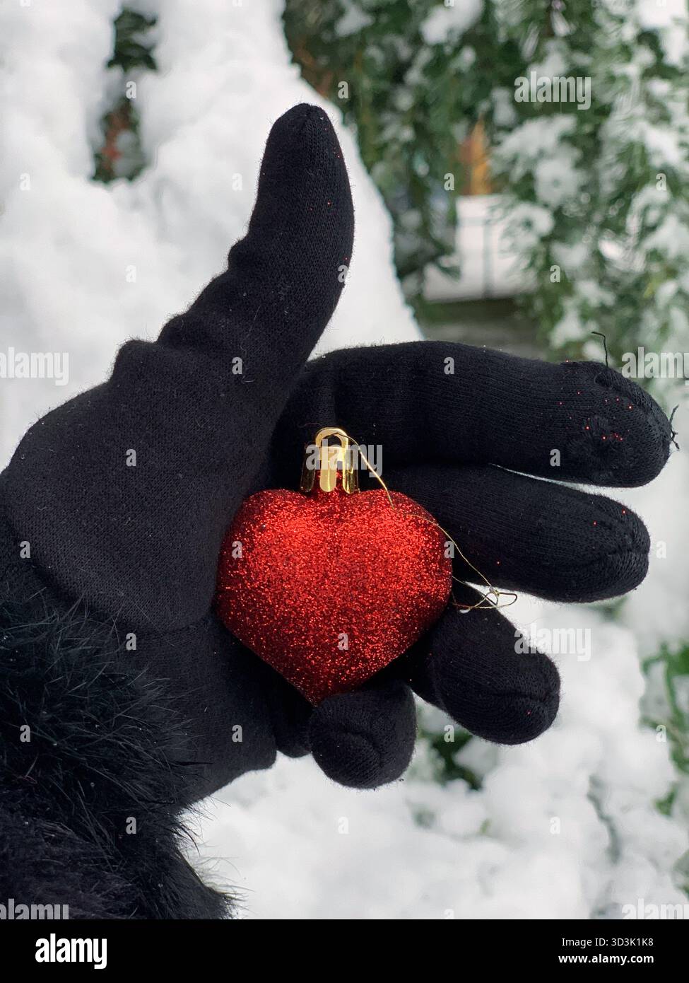 Mano da donna in un guanto nero che regge un giocattolo rosso a forma di cuore. Sullo sfondo c'è la neve e un ramo di abete rosso. Atmosfera di Capodanno. - Immagine stock catturata con smartphone
