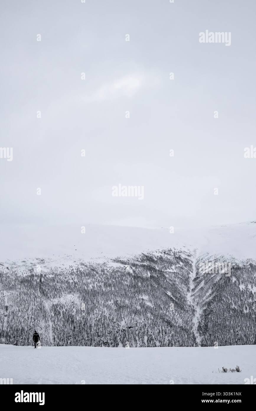 Persona non identificabili nella neve tra il meraviglioso paesaggio invernale, Norvegia Foto Stock