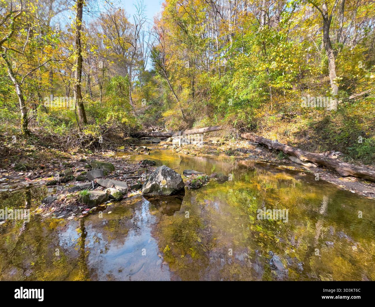 Rock Run nel Susquehanna State Park. Havre de Grace. Maryland. STATI UNITI Foto Stock