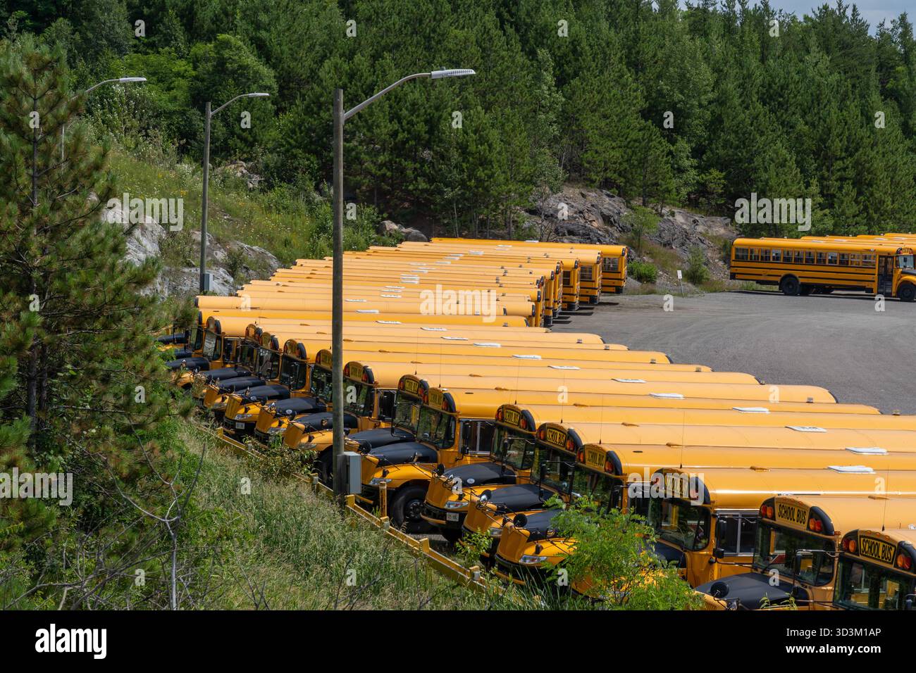 Molti scuolabus in un parcheggio. Greater Sudbury, ONTARIO, Canada Foto Stock