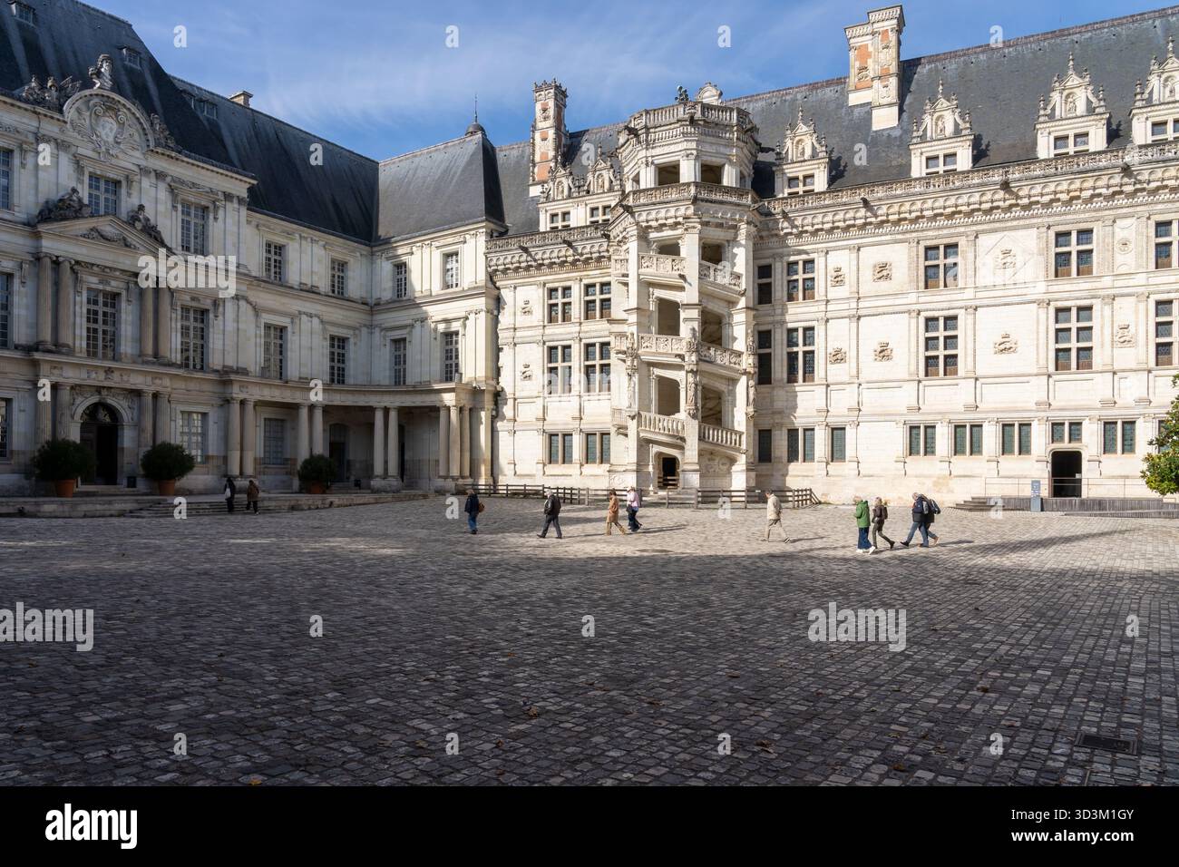 Persone che visitano il Castello reale (Chateau Royal de Blois) a Blois, Francia. Foto Stock