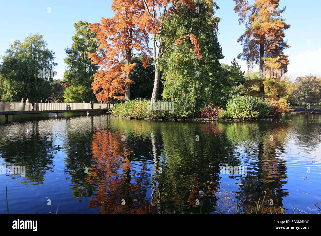 Colori autunnali sul ponte del lago ai Kew Botanic Gardens, nel sud-ovest di Londra, Regno Unito. Foto Stock