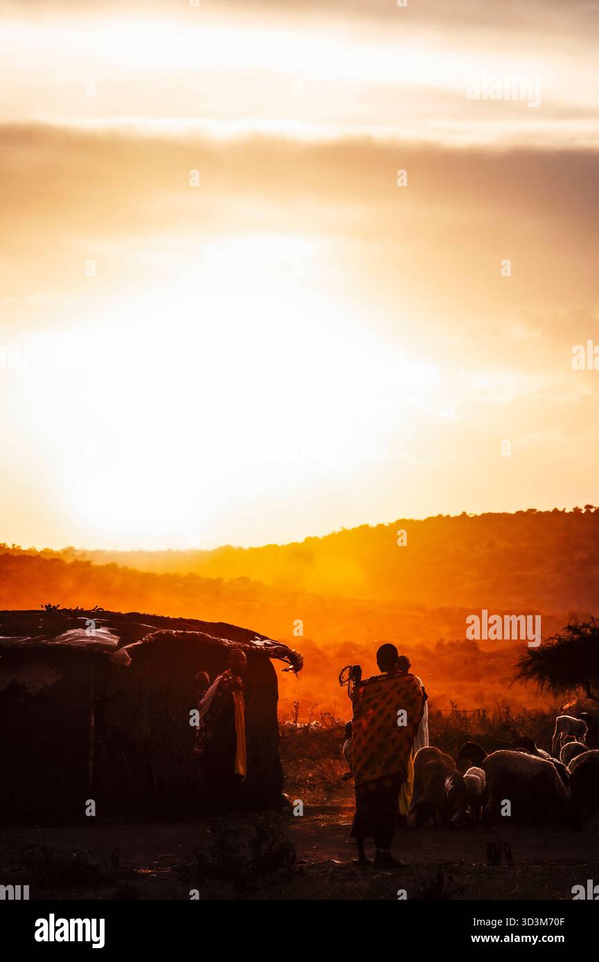 Ololosokwan Village, Tanzania - 13 ottobre 2020 - immagine che celebra la vita quotidiana, le tradizioni e la vibrante eredità culturale del popolo Maasai. Foto Stock