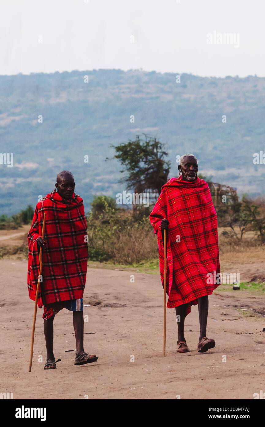 Ololosokwan Village, Tanzania - 13 ottobre 2020 - immagine che celebra la vita quotidiana, le tradizioni e la vibrante eredità culturale del popolo Maasai. Foto Stock