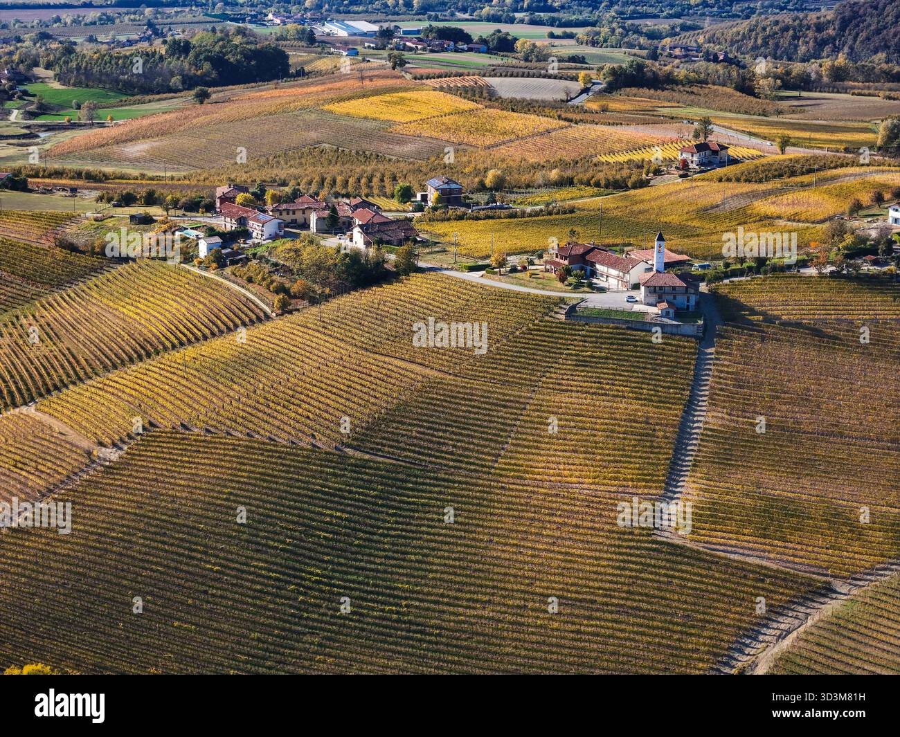 Vista aerea delle colline delle Langhe con vigneti in autunno Foto Stock