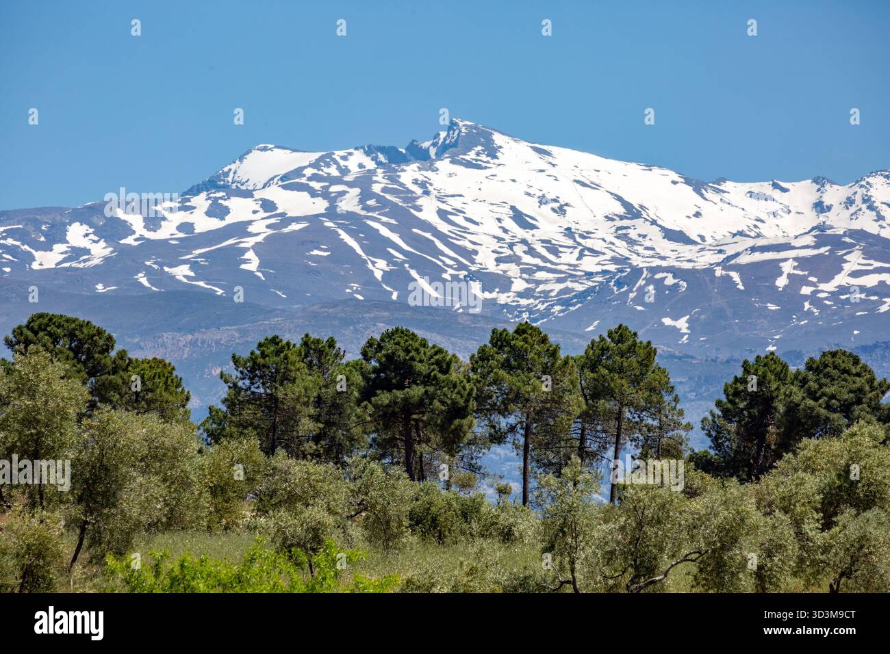 La neve copriva la catena montuosa della Sierra Nevada in Andalusia, Spagna. Questa catena è nota per essere la sede del punto più alto della Spagna continentale, Foto Stock
