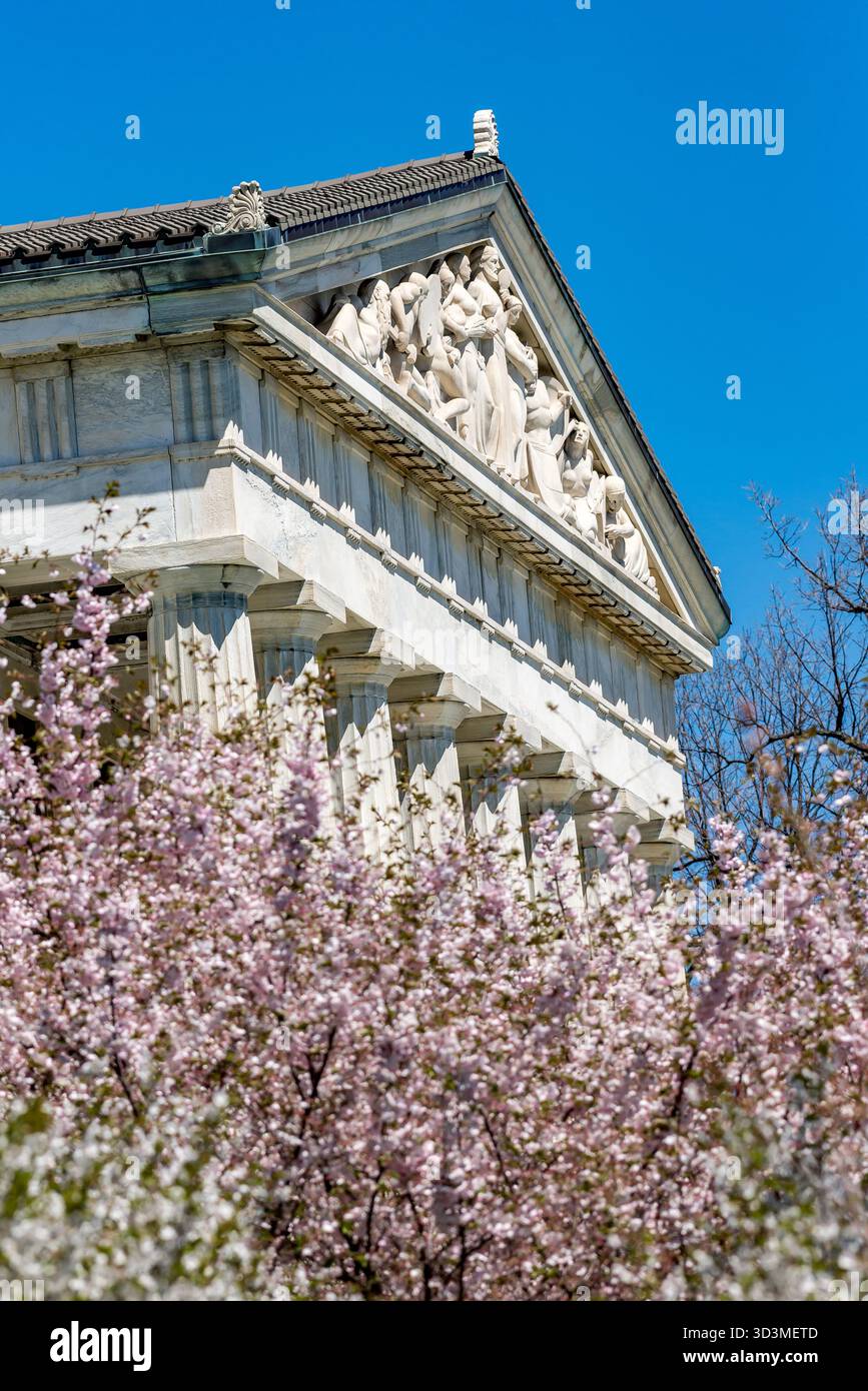 È il momento della fioritura dei ciliegi nei giardini del museo di storia di Buffalo, New York. Foto Stock