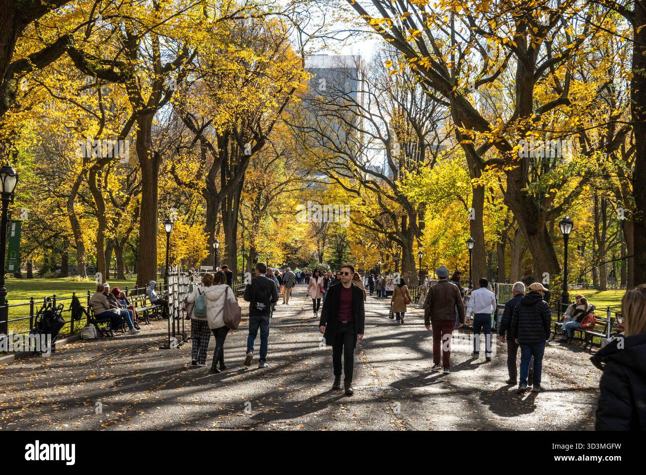 I turisti potranno trascorrere un pomeriggio autunnale a Central Park sulla panoramica Poets Walk, 2025, New York City, Stati Uniti Foto Stock