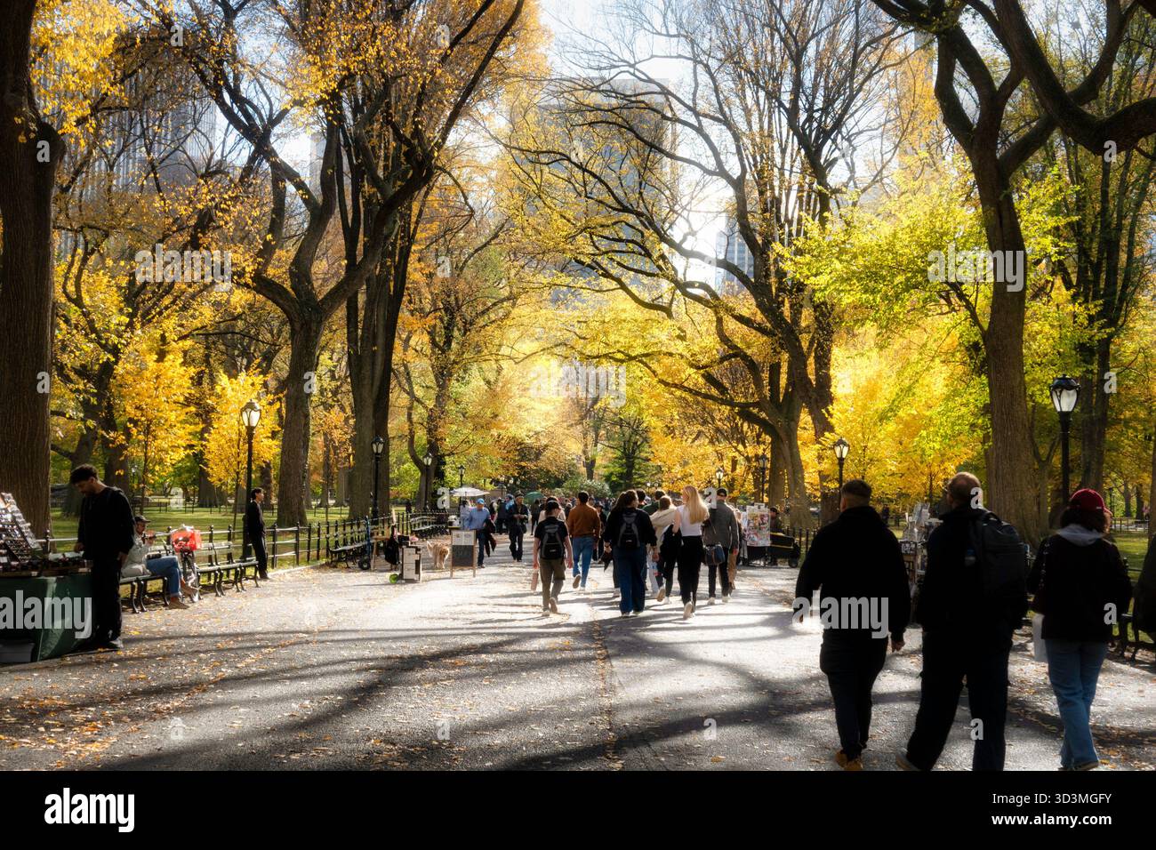 I turisti potranno trascorrere un pomeriggio autunnale a Central Park sulla panoramica Poets Walk, 2025, New York City, Stati Uniti Foto Stock