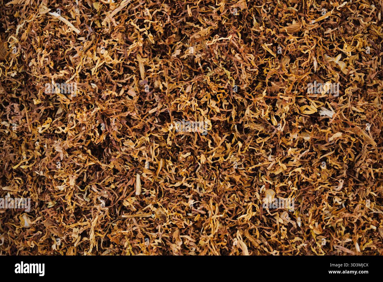 Fondo di consistenza del tabacco tagliato a pezzi, foglie marroni essiccate per arrotolare sigarette, primo piano modello di materiale da fumo organico Foto Stock
