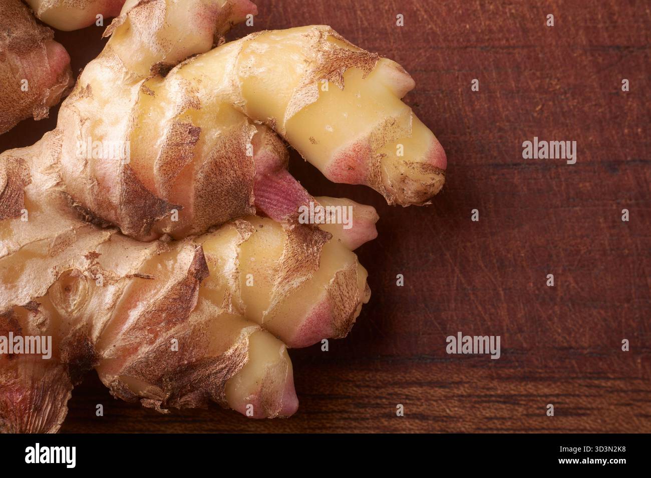 rizomi di zenzero fresco su superficie di legno scuro, radice gialla pallida con punte rosa-rossastro, primo piano macro in illuminazione a bassa luminosità e spazio di copia per il testo Foto Stock