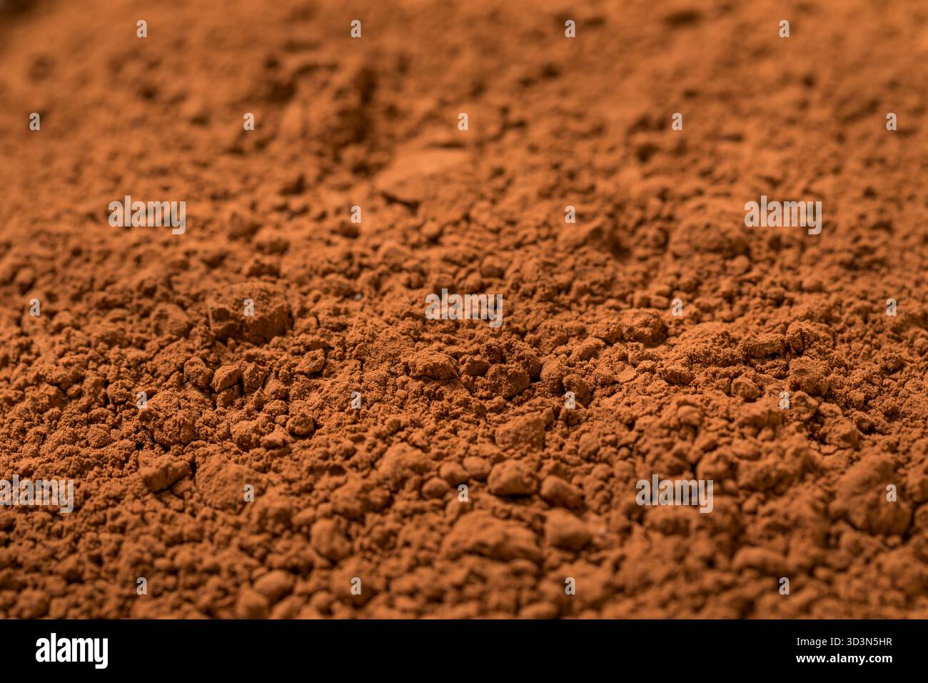 Polvere di cacao secco crudo organico in una ciotola Foto Stock