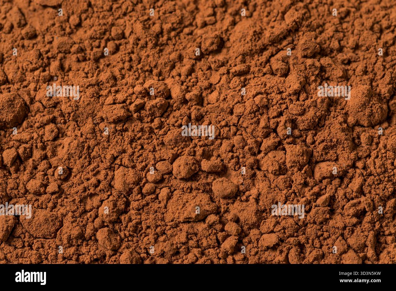 Polvere di cacao secco crudo organico in una ciotola Foto Stock