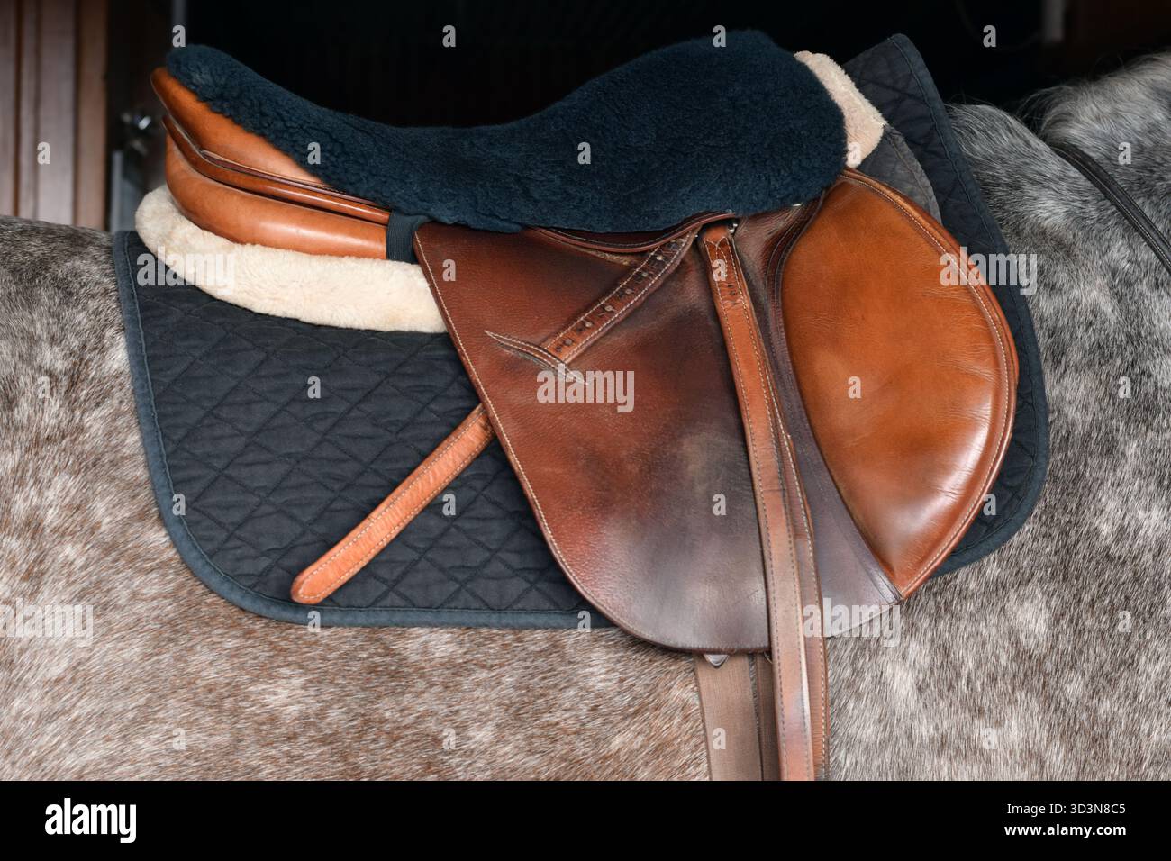 Vista ravvicinata di una sella in pelle marrone posizionata sulla schiena di un cavallo, che mostra dettagli e consistenza Foto Stock