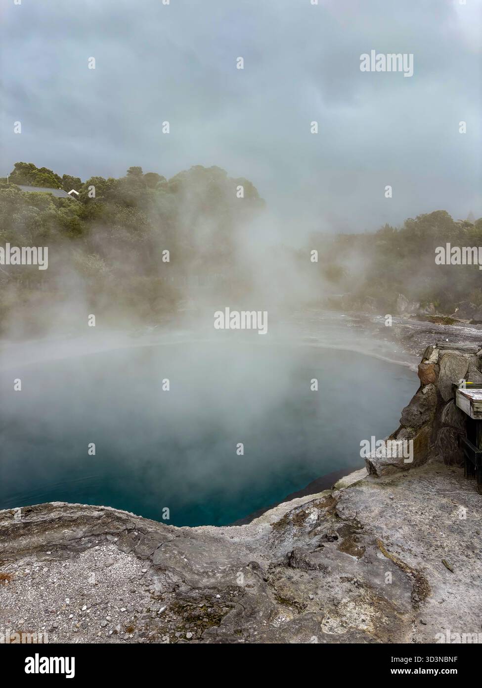 Il villaggio geotermico di Whakarewarewa dispone di una piscina geotermica attiva con vapore, parte di una comunità vivente di Māori a Rotorua, nuova Zelanda, aperta a visi Foto Stock