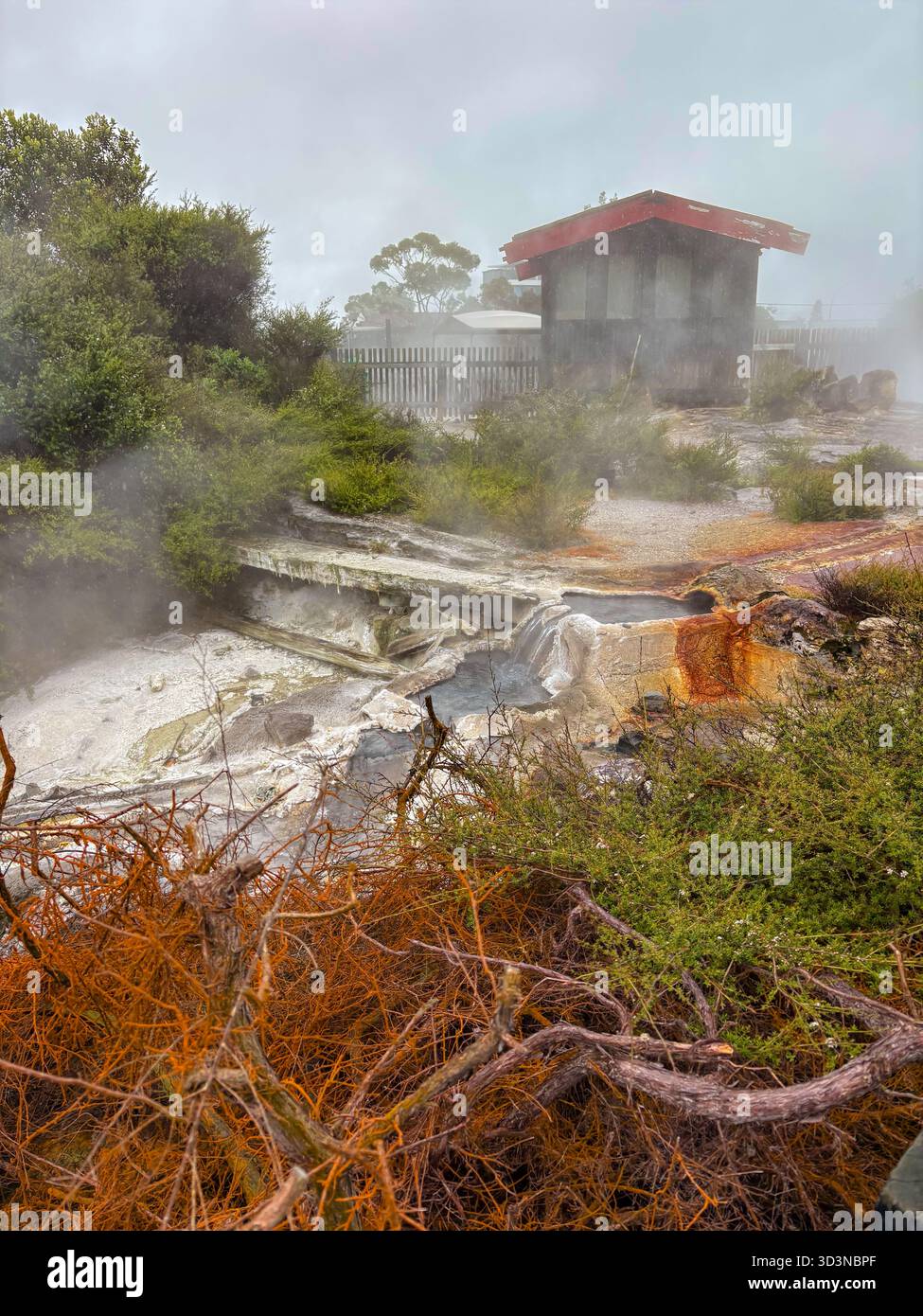 Il villaggio geotermale di Whakarewarewa è un'area geotermica attiva con sfiati del vapore, piscine ricche di minerali e la tradizionale vita della comunità Māori a Rotorua, N Foto Stock
