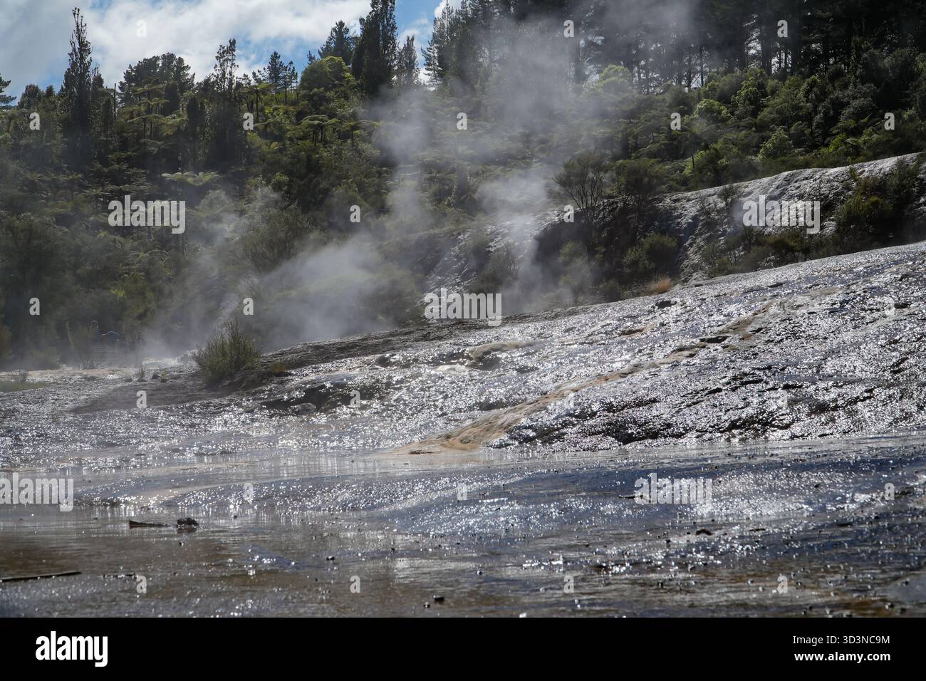 Il parco geotermico Orakei Korako presenta i geyser Diamond e Zaffiro, noti per le loro terrazze ricche di minerali scintillanti e le piscine calde fumanti. Foto Stock