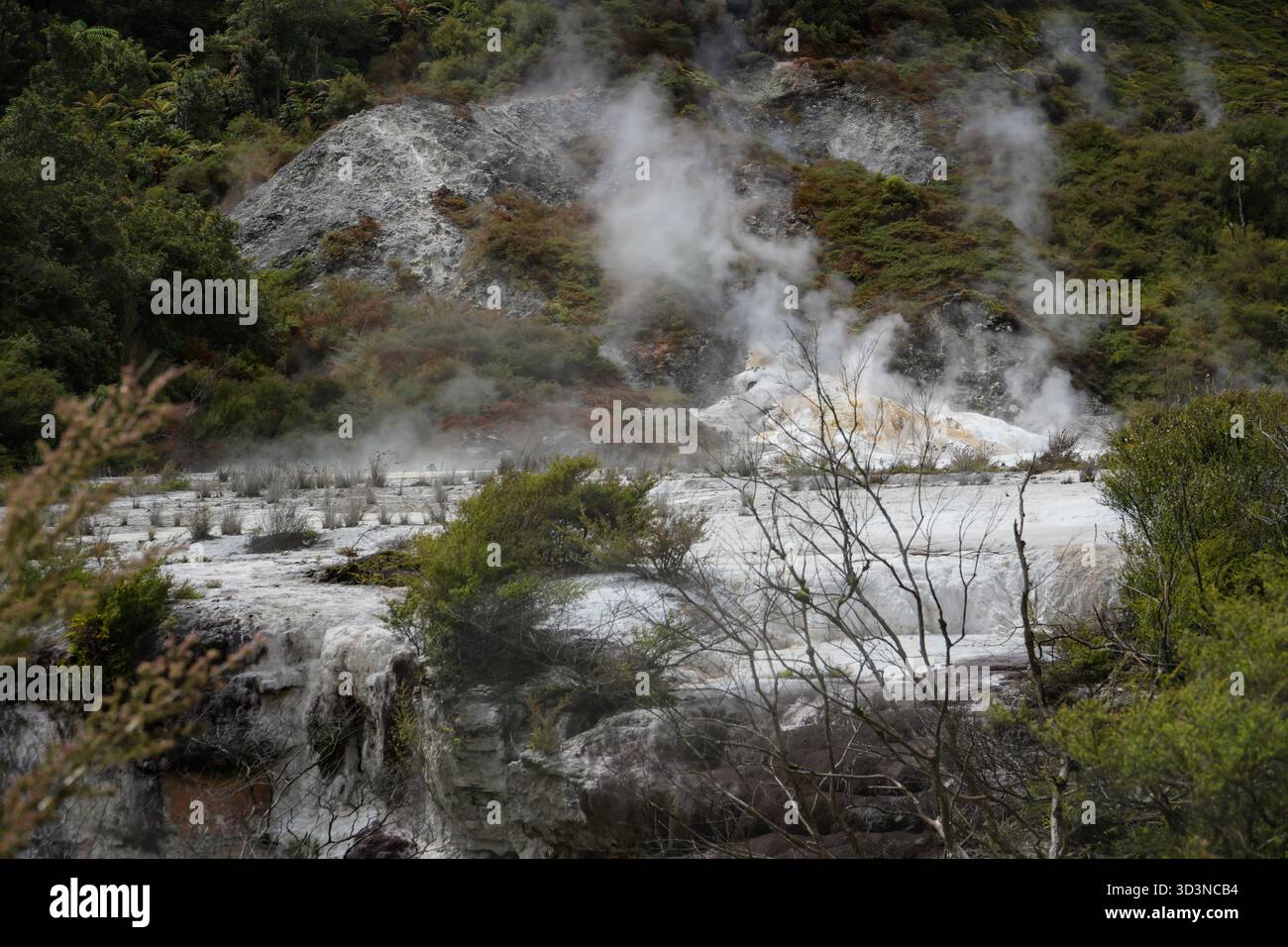 Parco geotermico Orakei Korako con vapore in aumento e depositi minerali. Paesaggio vulcanico caratterizzato da formazioni geologiche uniche e vegetazione autoctona. Foto Stock