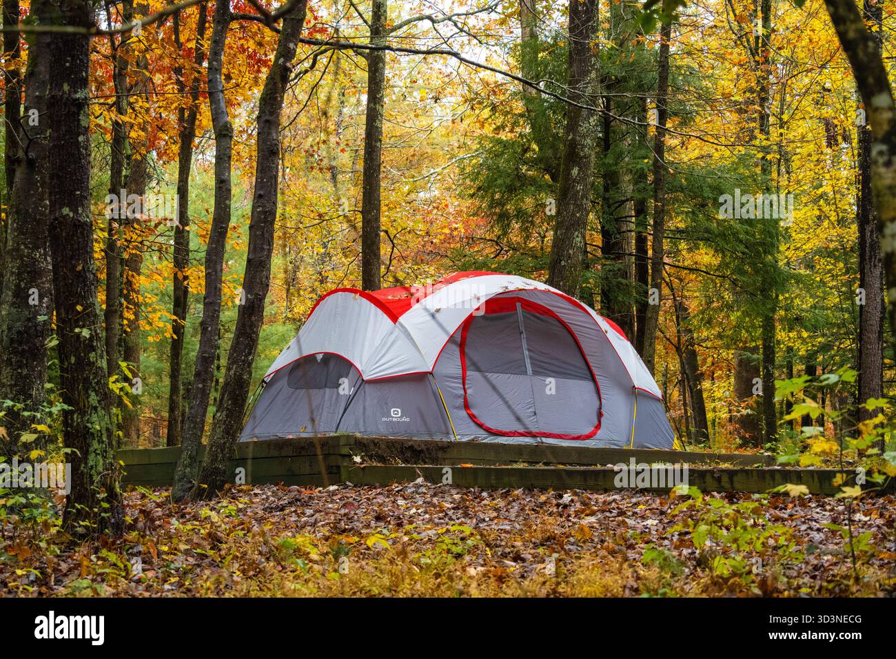 Campeggio in tenda al Cades Cove Campground nel Great Smoky Mountains National Park vicino a Townsend, Tennessee. (USA) Foto Stock