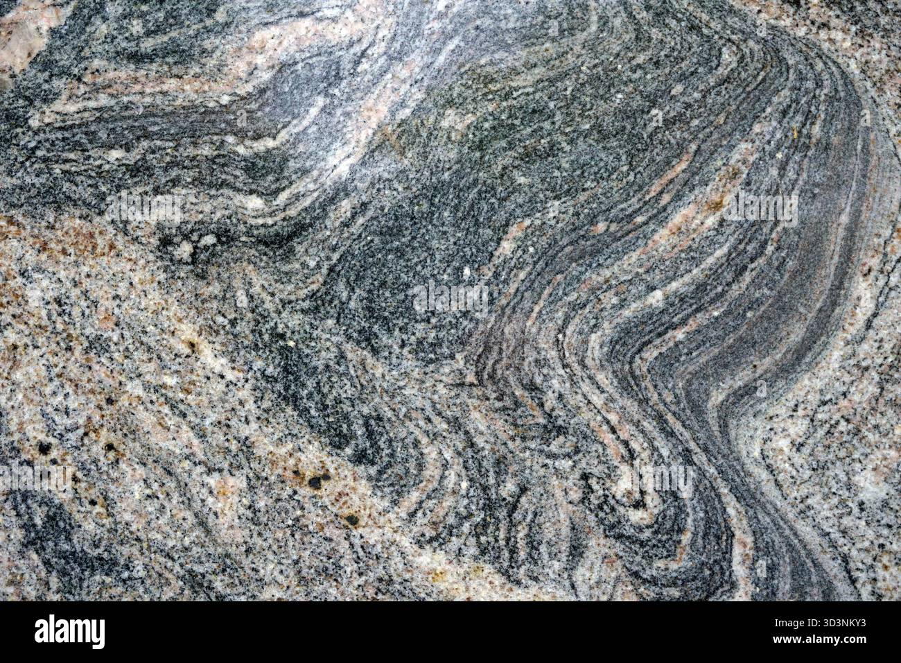 Primo piano di una lastra di Gneiss, o migmatite, che è in parte roccia metamorfica e in parte roccia ignea, da Kinawa, Brasile Foto Stock