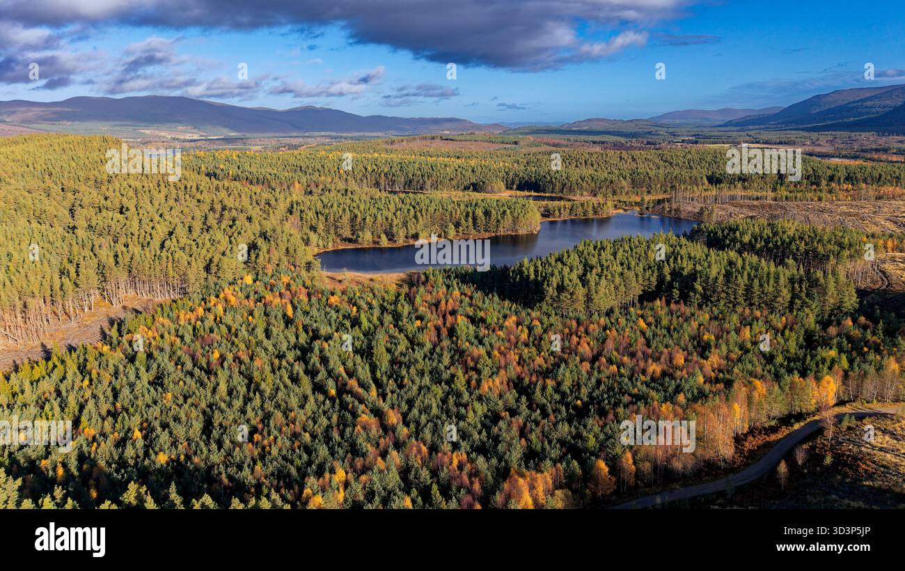 Uath Lochans Insh Scotland il grande lago circondato da alberi in autunno Foto Stock