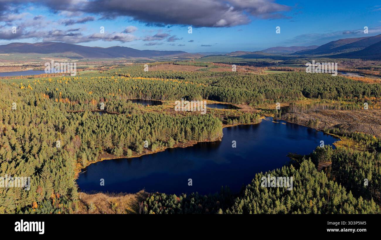 Uath Lochans Insh Scotland il grande lago circondato da alberi in una giornata di sole in autunno Foto Stock