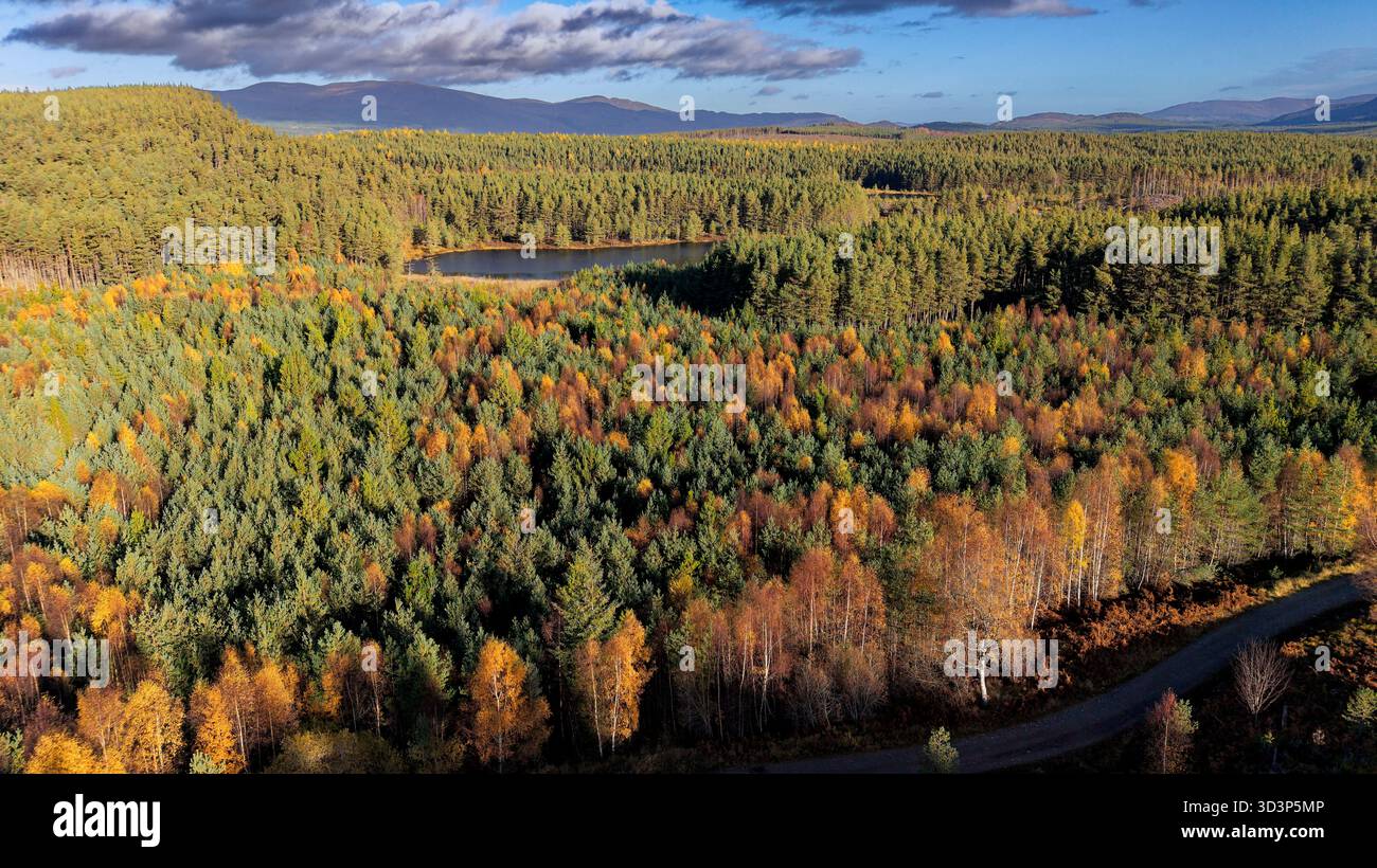 Uath Lochans Insh Scotland i laghi circondati da alberi colorati in una giornata di sole in autunno Foto Stock