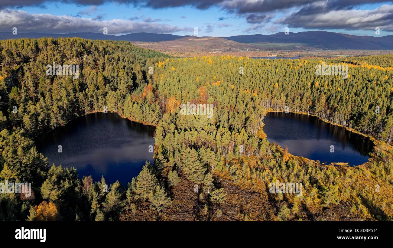 Uath Lochans Insh Scotland due piccoli laghi circondati da alberi in una giornata di sole in autunno Foto Stock